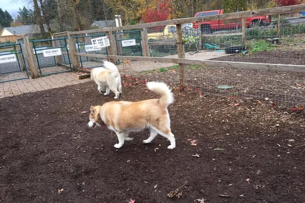 Newberg Dog Park